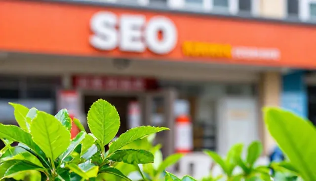 网站SEO优化中的域名托管关键环节分析